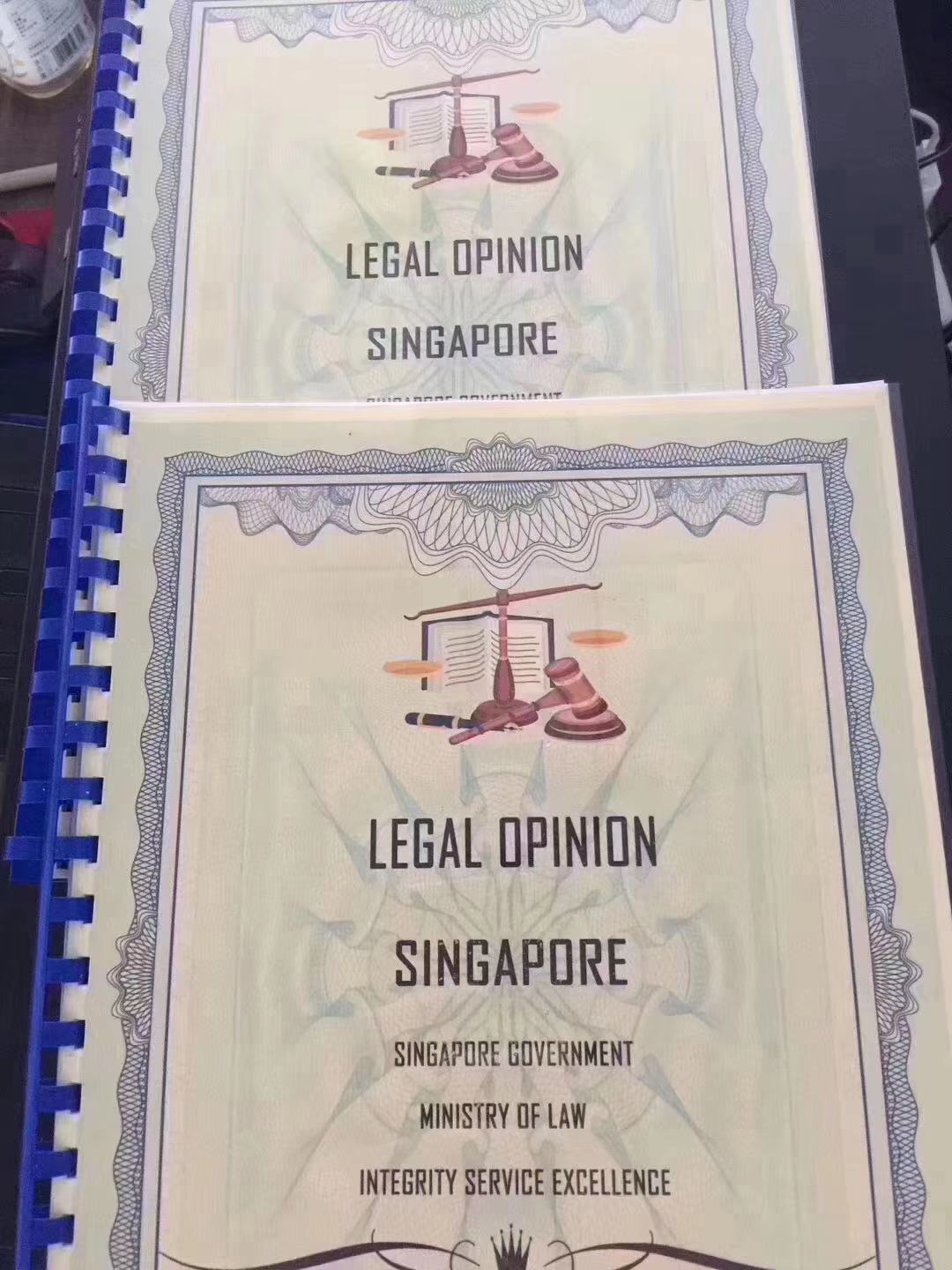 新加坡基金会法律意见书.jpg